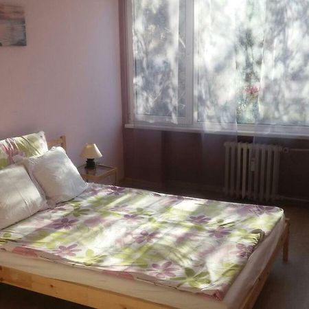 Cosy Place Close To The Center София Экстерьер фото